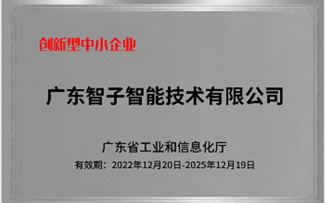 创新型中小企业 创新型中小企业